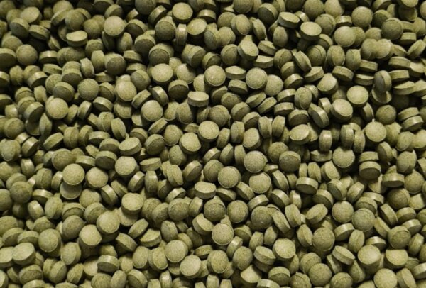 Futtertabletten Ø  8mm 10% Spirulina Linse Grün