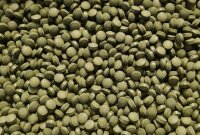 Futtertabletten Ø  8mm 10% Spirulina Linse Grün