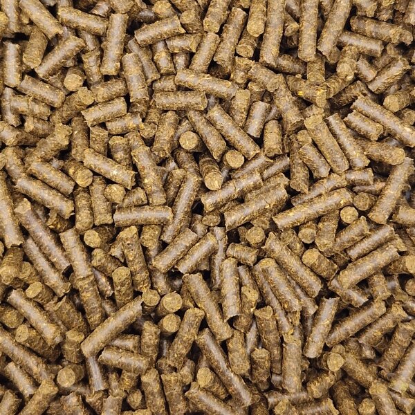 Garnelen Sticks Walnuss 50g