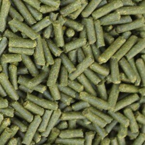 Garnelen Sticks Löwenzahn 100g
