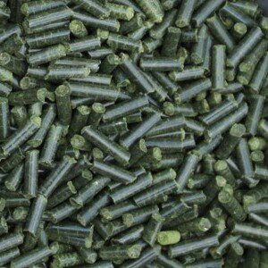 Garnelen Sticks Brennnessel 100g