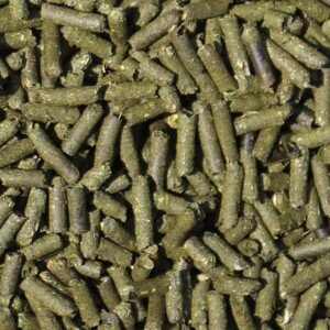 Garnelen Sticks Spitzwegerich 100g