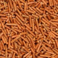 Garnelen Sticks Karotten 100g