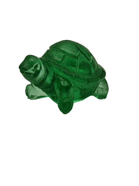 Lollyhalter Schildkröte Grün