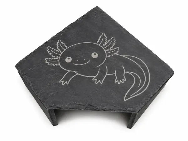 Schieferhöhle Axolotl Eckig