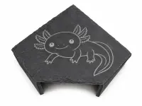 Schieferhöhle Axolotl Eckig