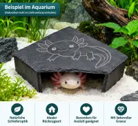 Schieferhöhle Axolotl Eckig